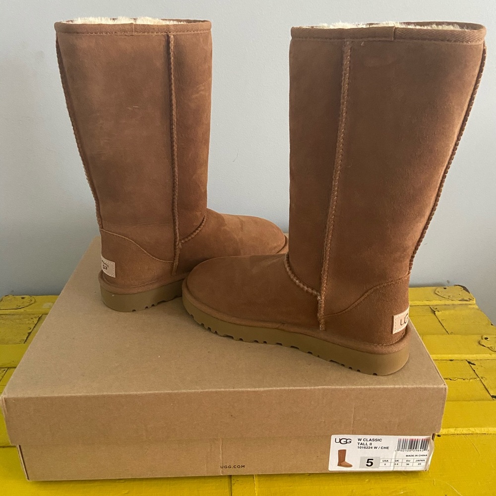 Tall chestnut Ugg’s